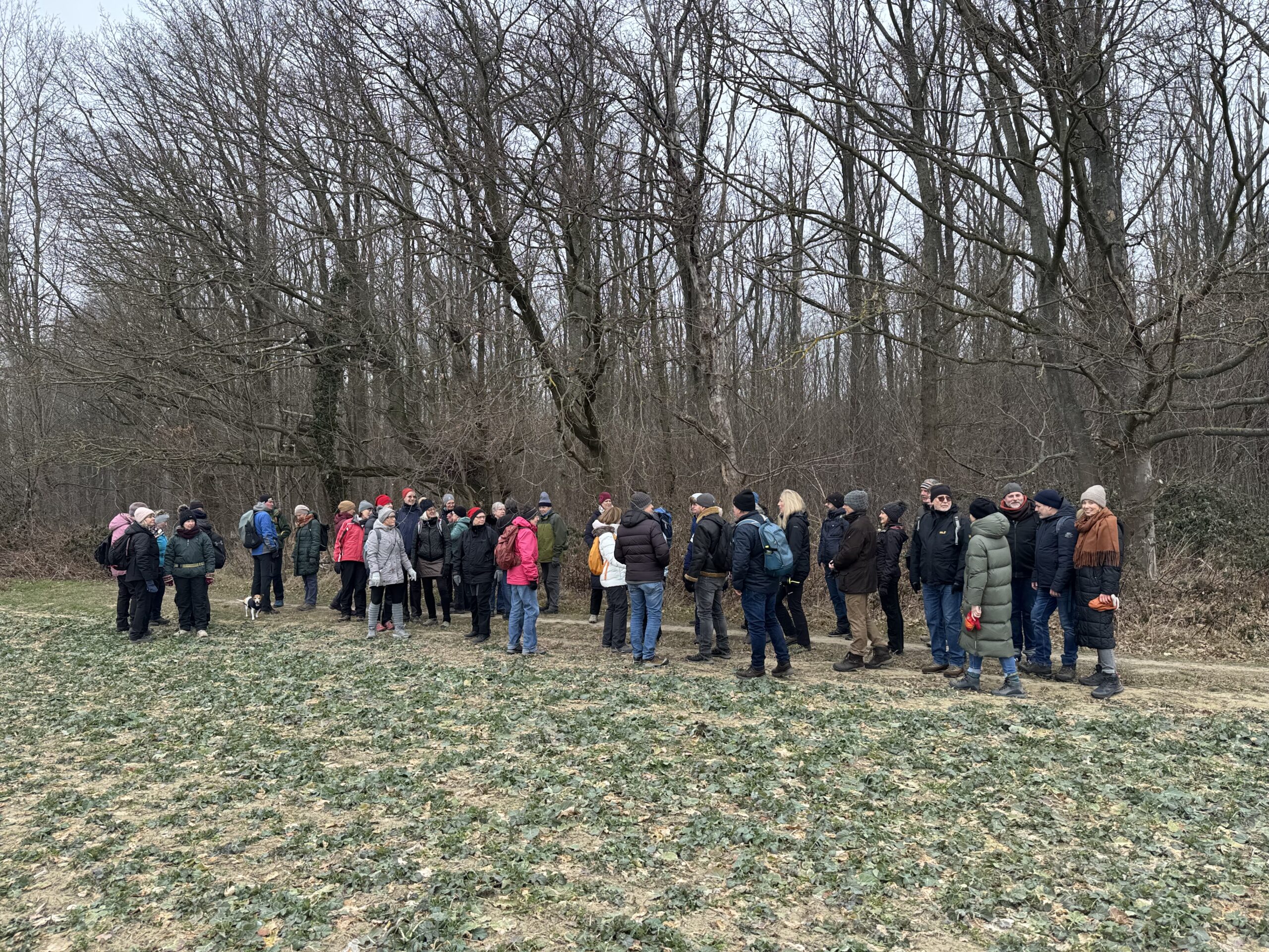 24. Januar 2026 Grünkohlwanderung